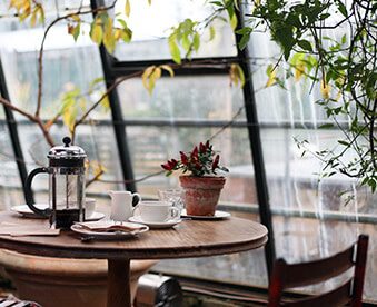 ¡Bienvenidos! 7 vication5.jpg